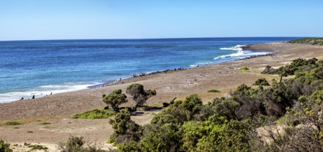 Wide stretch of beach with coastal vegetation on a quiet day by the sea, The countryside of