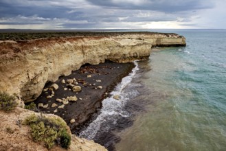 View of the rocky coast with high cliffs and picturesque waves under a cloudy sky, The maned seals