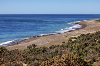 A quiet coastal landscape with wide beaches and lush vegetation under clear skies, The landscape of