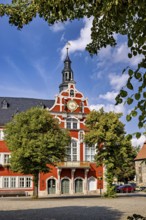 Historic building with red façade in baroque style, surrounded by trees under a blue sky, The old
