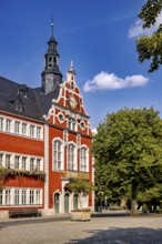 Baroque building with red façade and clock tower flanked by trees on a sunny day, The old town of