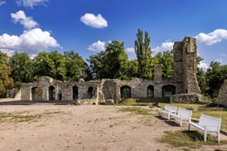 Ruins with stone walls, benches and trees under a clear sky, The Niedeck Ruins in Arnstadt