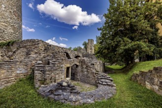 Ruins made of stone with a tree on a green field under a clear sky, The Niedeck Ruins in Arnstadt