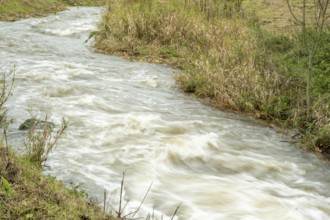 Borken-Hoxfeld, NRW, Germany, A river rushes through a landscape filled with tall grasses and