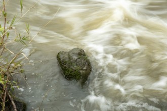 Borken-Hoxfeld, NRW, Germany, The river flows smoothly over a moss-covered rock, creating ripples
