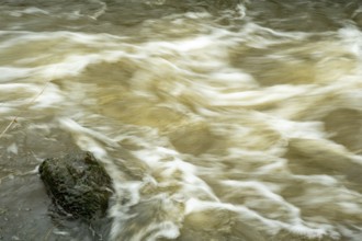 Borken-Hoxfeld, NRW, Germany, Clear water flows gracefully over a moss-covered stone in a river.