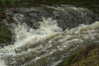 Borken-Hoxfeld, NRW, Germany, Water cascades over rocks in a peaceful environment, creating frothy