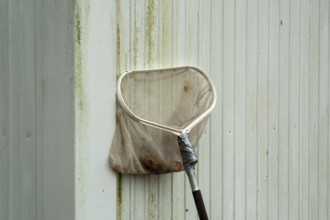 Borken-Hoxfeld, NRW, Germany, A cleaning tool leans against a dirty wall, showing signs of recent