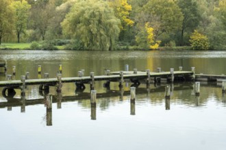 Borken-Hoxfeld, NRW, Germany, A wooden dock stretches out over still water, surrounded by trees