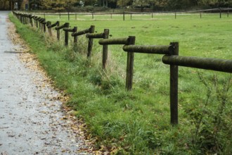 Borken-Hoxfeld, NRW, Germany, A wooden fence lines a quiet path through a green field, surrounded