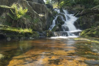 Clear waterfall flows over green stones, Ilsenburg, Harz, Saxony-Anhalt, Germany