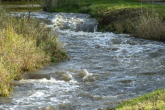 River water flowing rapidly through a natural landscape with green and brown grass, Borken, nrw,