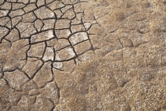 Contrasting textures between cracked earth and smoother adjacent soil, Djoudj, Senegal