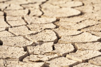 Close-up view of cracked dry soil showing texture and signs of drought, Djoudj, Senegal