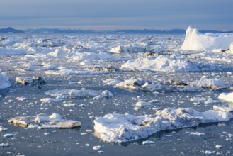 Iceberg fragments floating in calm icy waters against a backdrop of distant mountains in a cold,