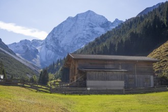 Snowy mountain hawk with cattle shed on the Pinnisalm in autumn, Pinnistal, Neustift im Stubai