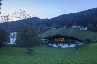 Houses, meadow and mountains with holiday home at dusk, Neustift im Stubai Valley, Stubai Valley,