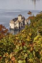 Château de Chillon, Chillon Castle, from autumnal colorful vineyard terraces, Les Terraux,