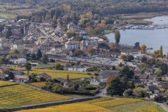 View of Villeneuve and lakeside, Lac Léman, Vaud, Switzerland