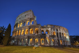 Night view photo in Blue Hour of Amphiteatrum Flavium Colosseum Colosseo in ancient center of Rome,