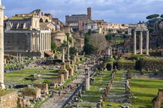 View from elevated position of Roman Forum in ancient center of Rome, Rome, Lazio, Italy