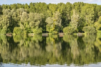 Detail of the natural landscape at Etang de Fouquenies (Fouquenies pond), a fishing water near