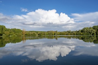 Natural landscape at Etang de Fouquenies (Fouquenies pond), a fishing lake near Beauvais. The motif