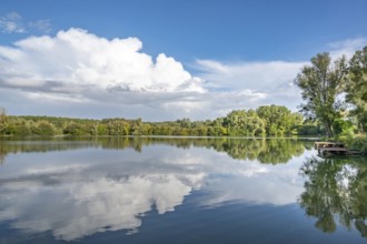 Natural landscape at Etang de Fouquenies (Fouquenies pond), a fishing lake near Beauvais. The motif