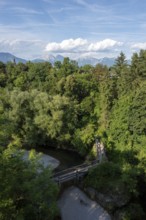 View over the thick treetops and the Kokra River with the Alps in the background, Kranj, Slovenia