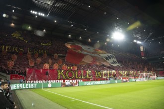 (DFL/DFB REGULATIONS PROHIBIT ANY USE OF PHOTOGRAPHS AS IMAGE SEQUENCES AND/OR QUASI-VIDEO), Rhein