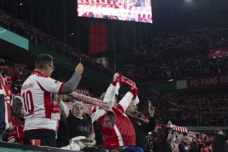 (DFL/DFB REGULATIONS PROHIBIT ANY USE OF PHOTOGRAPHS AS IMAGE SEQUENCES AND/OR QUASI-VIDEO), Rhein