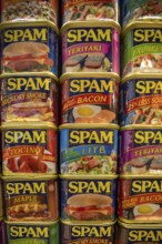 Austin, Minnesota - The SPAM Museum. SPAM is a lunch meat made of pork and ham, canned by Hormel