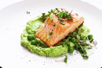 Delicious grilled salmon is placed elegantly on creamy green pea puree. Fresh microgreens and peas