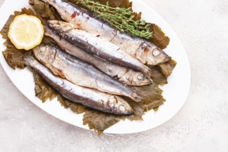 Baked fish, in grape leaves, with spices, on a white plate, homemade