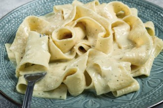 Pasta papardelle in creamy garlic sauce, traditional Italian cuisine, pasta carbonara, homemade, no