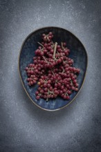 Shtoshi berry, Shepherd's pie, a hybrid of sea buckthorn and barberry, top view, no people