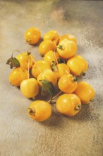Yellow small apples, Chinese variety, scattered on the table, top view, no people