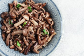 Pickled honey mushrooms, in a bowl, homemade, top view, no people
