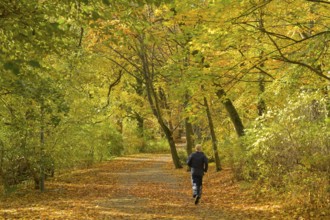 Autumn in Rudolph Wilde Park, Volkspark Schöneberg, Berlin, Germany