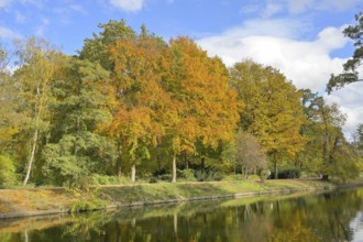 Landwehr Canal, autumn in Großer Tiergarten Park, Mitte, Berlin, Germany