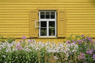 Kazaki House, wooden house, farmhouse, Latvian Ethnographic Open-air Museum, Brivdabas iela, Riga,