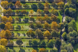 Aerial view, parking lot with autumn trees at the lido, shapes and colors, Wesel, Lower Rhine,