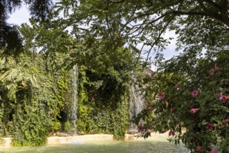 Beautiful natural park, with waterfalls and hibiscus blossoms The Ornamental Pond in Genovés