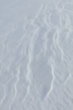 Wind has made patterns on snow surface, Toronsuo National Park, Tammela, Finland