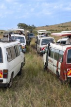 Safari cars on the Mara River with tourists waiting for the wildebeest migration, Masai Mara, Kenya