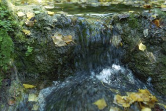 Ronda, malaga, spain Water flowing over mossy rocks in a forest, surrounded by golden autumn leaves