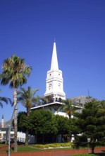 A tall white clock tower surrounded by palm trees, one of the main architectural landmarks for