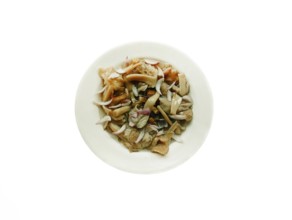 Delicious dish in the form of homemade salted mushrooms with onions in a plate on a white