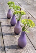 Purple vases with green flowers on a wooden table in minimalistic arrangement, North