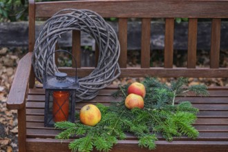Wooden bench with apples, pine branches, wreath and lantern in rustic style, North